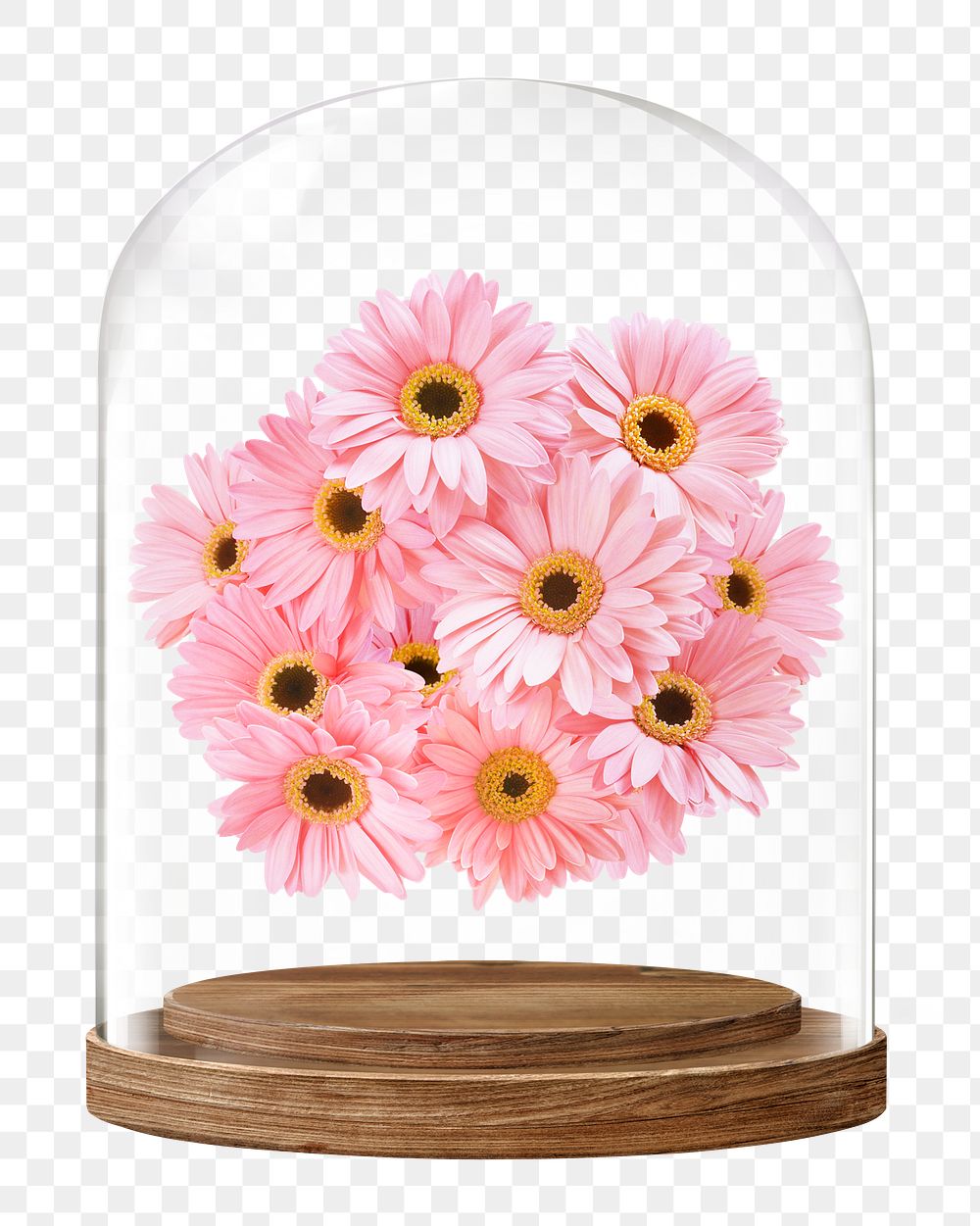 Pink gerbera png glass dome sticker, Spring flower concept art, transparent background