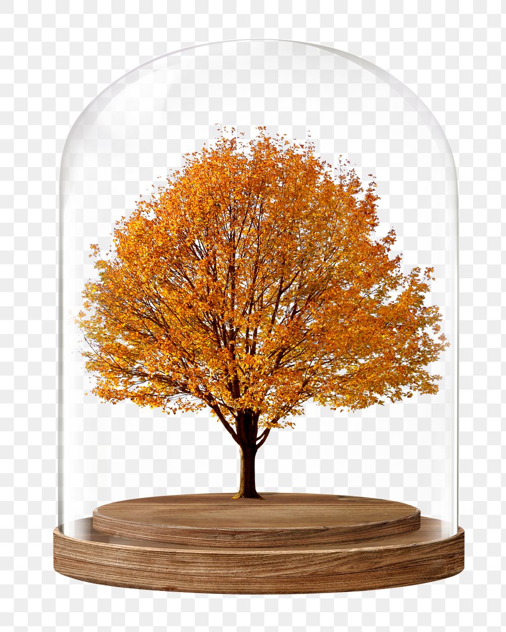 Autumn tree png glass dome sticker, seasonal aesthetic concept art, transparent background