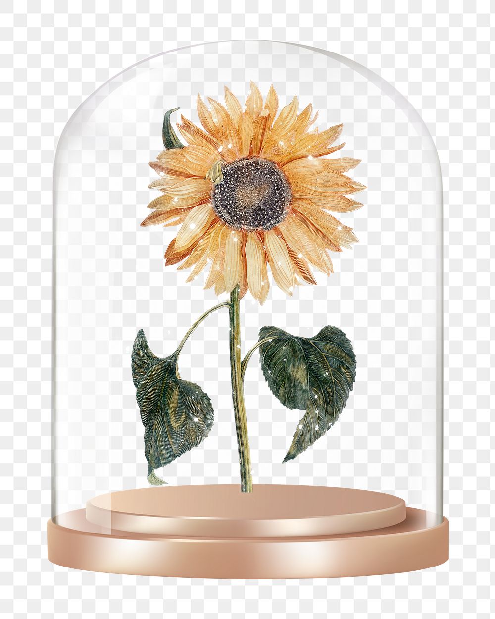 Sparkly sunflower png glass dome sticker, flower aesthetic concept art, transparent background