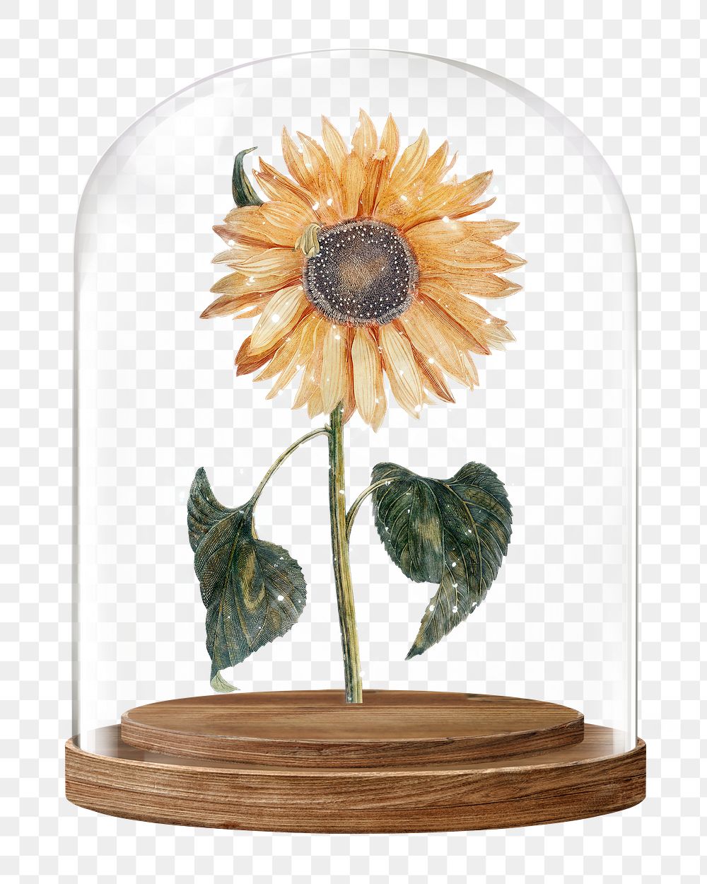 Sparkly sunflower png glass dome sticker, flower aesthetic concept art, transparent background