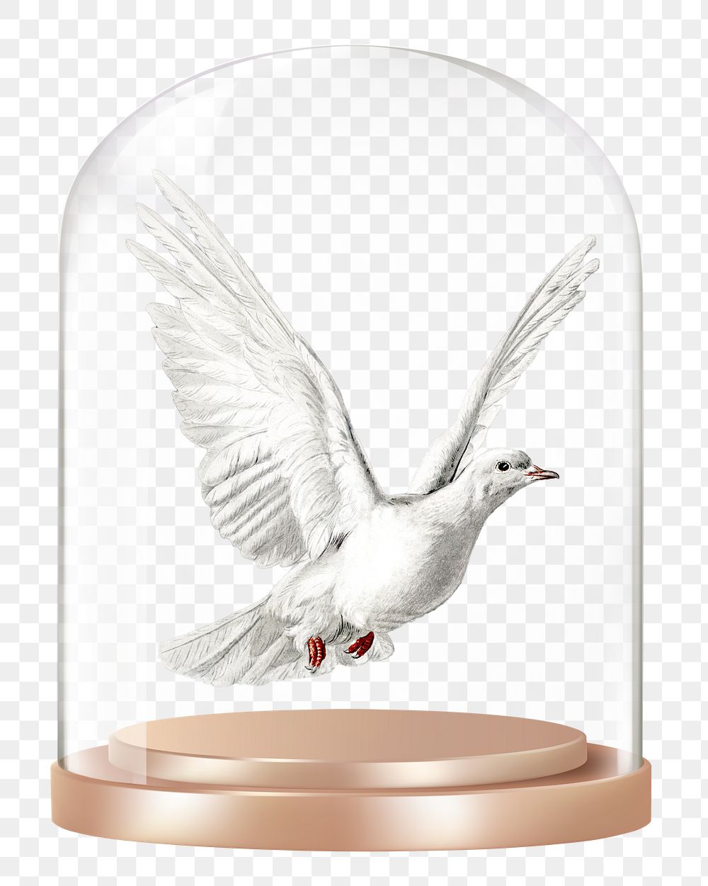 Flying dove png glass dome sticker, bird concept art, transparent background