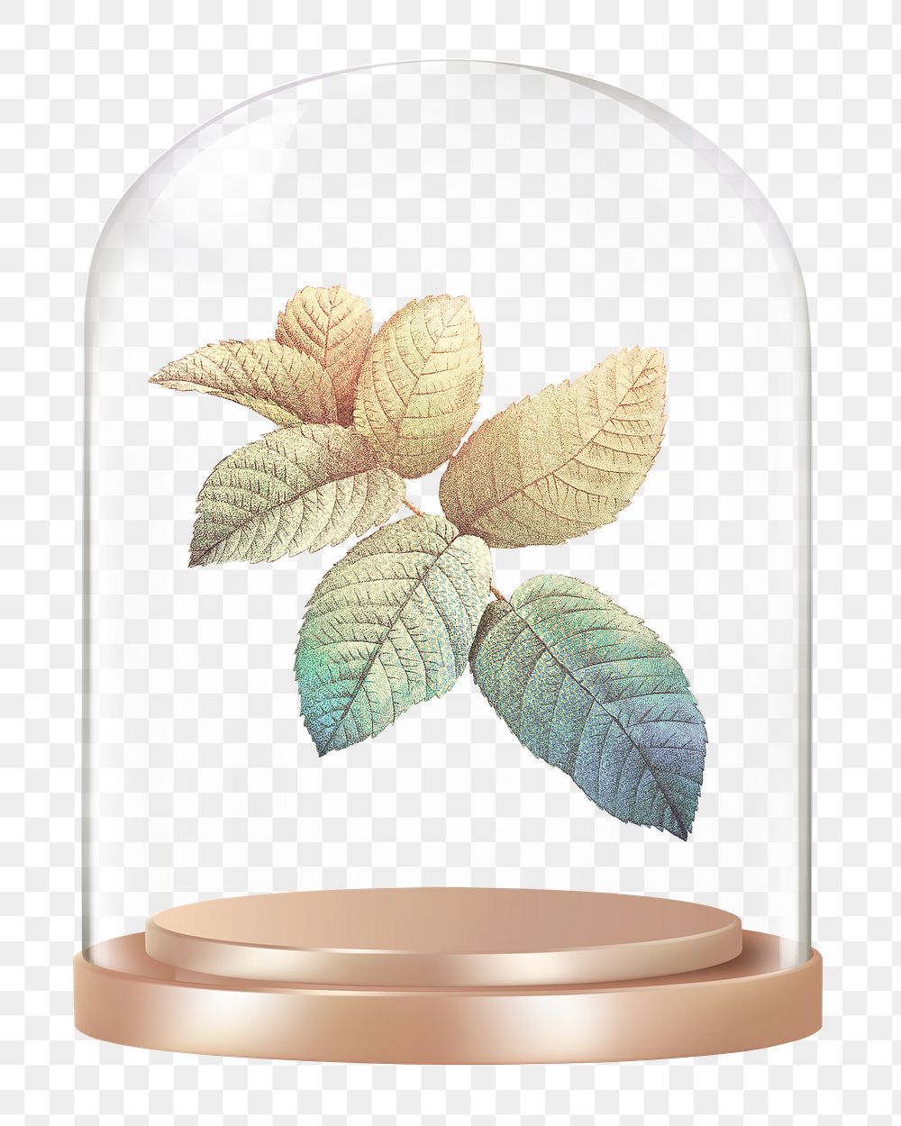 Gradient leaf branch png glass dome sticker, botanical concept art, transparent background