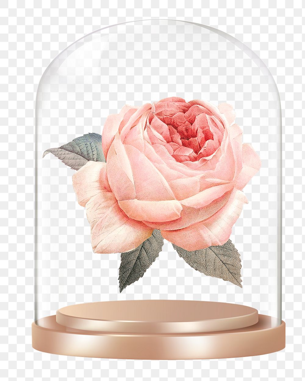 Pink rose png glass dome sticker, flower concept art, transparent background