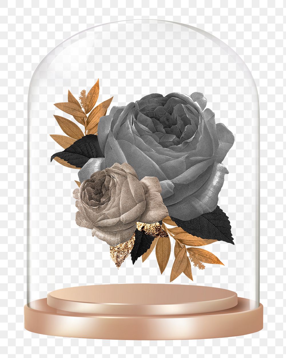 Black roses png glass dome sticker, winter flower concept art, transparent background