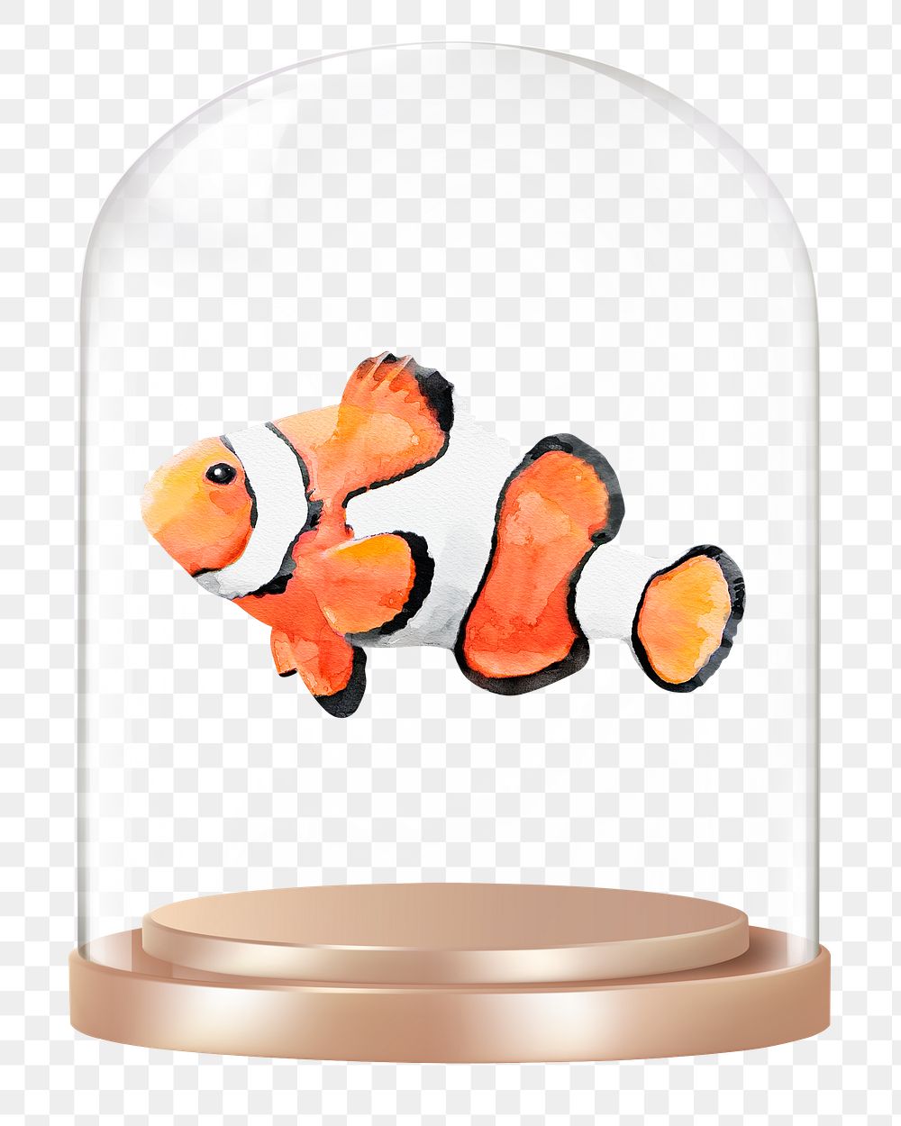 Clownfish png glass dome sticker, sea animal concept art, transparent background