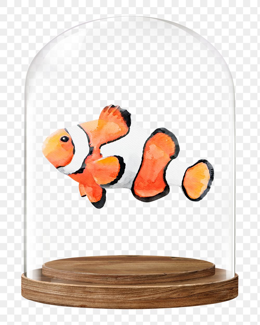 Clownfish png glass dome sticker, sea animal concept art, transparent background