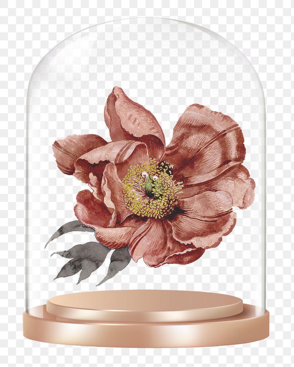 Dry flower png glass dome sticker, Autumn concept art, transparent background