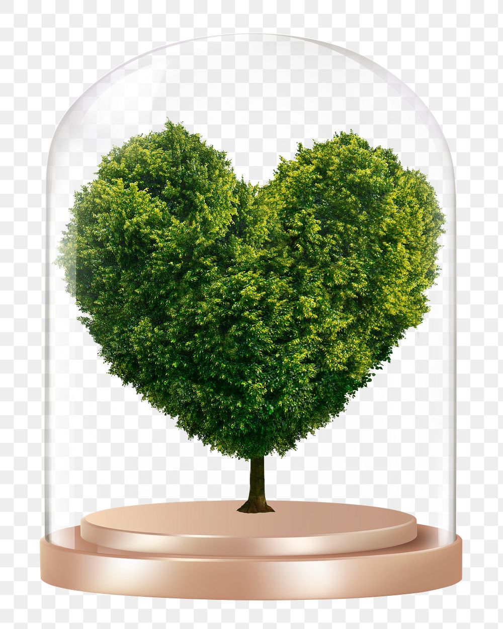 Heart shape tree png glass dome sticker, environment concept art, transparent background