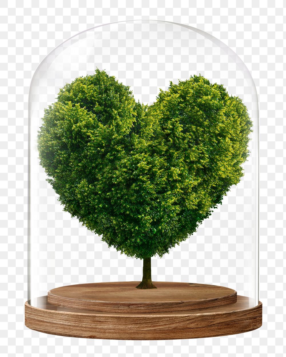 Heart shape tree png glass dome sticker, environment concept art, transparent background