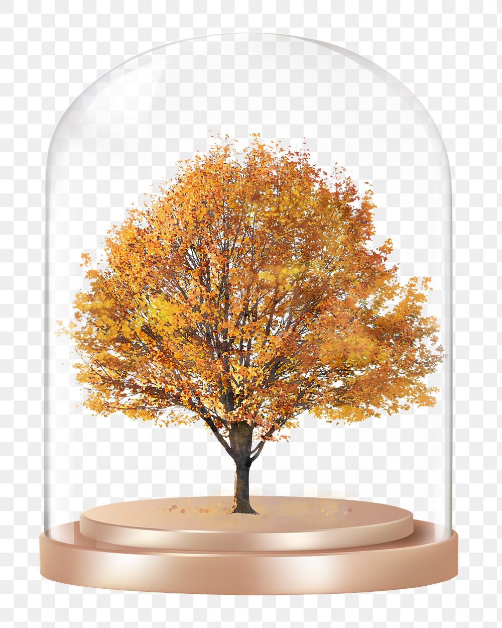 Autumn tree png glass dome sticker, seasonal aesthetic concept art, transparent background