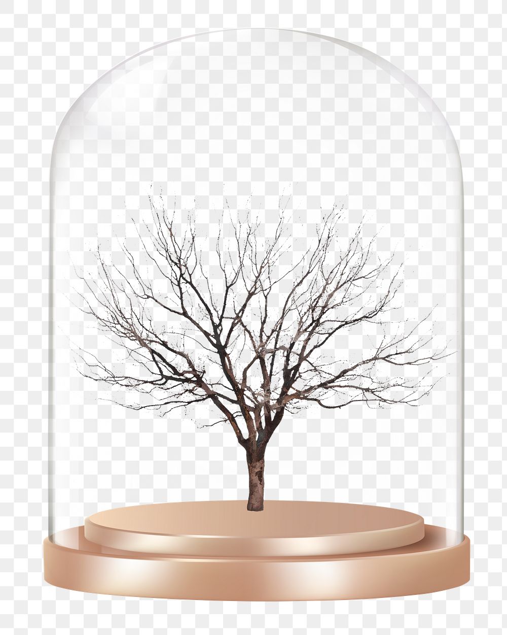 Leafless tree png glass dome sticker, Autumn concept art, transparent background