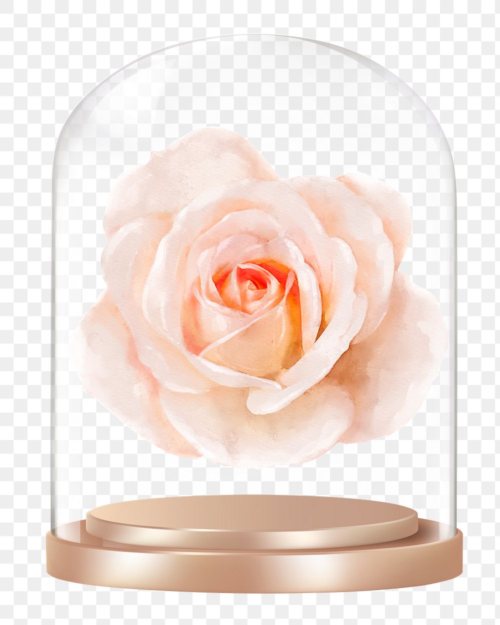 Blooming rose png glass dome sticker, Spring flower concept art, transparent background