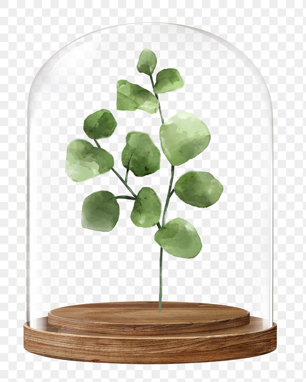 Watercolor leaf png branch glass dome sticker, botanical concept art, transparent background
