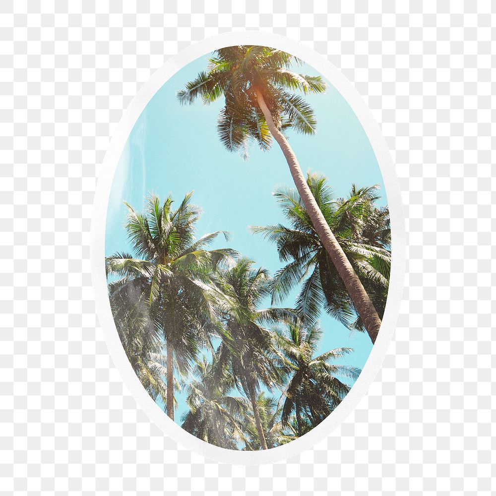 Summer png palm trees, printable oval sticker in transparent background