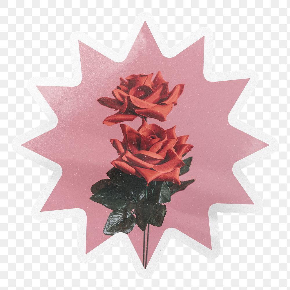 PNG rose label, aesthetic pink starburst shape with white border in transparent background