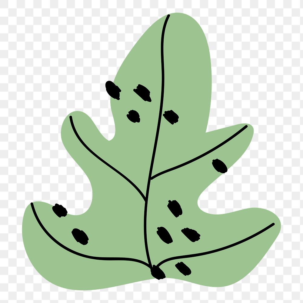 Aesthetic leaf png sticker, botanical doodle, transparent background
