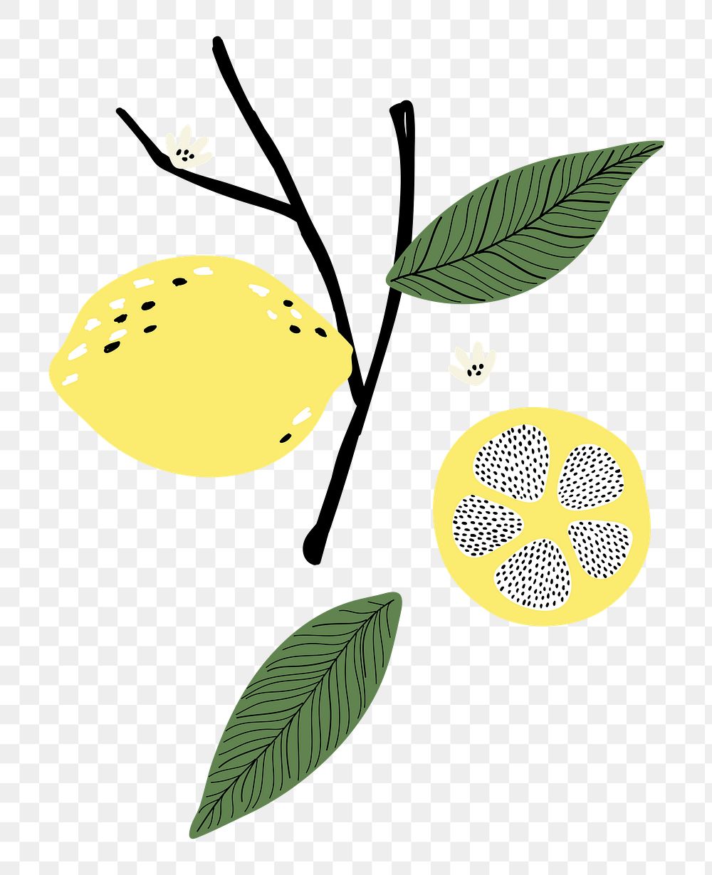 Lemon branch png sticker, fruit doodle, transparent background