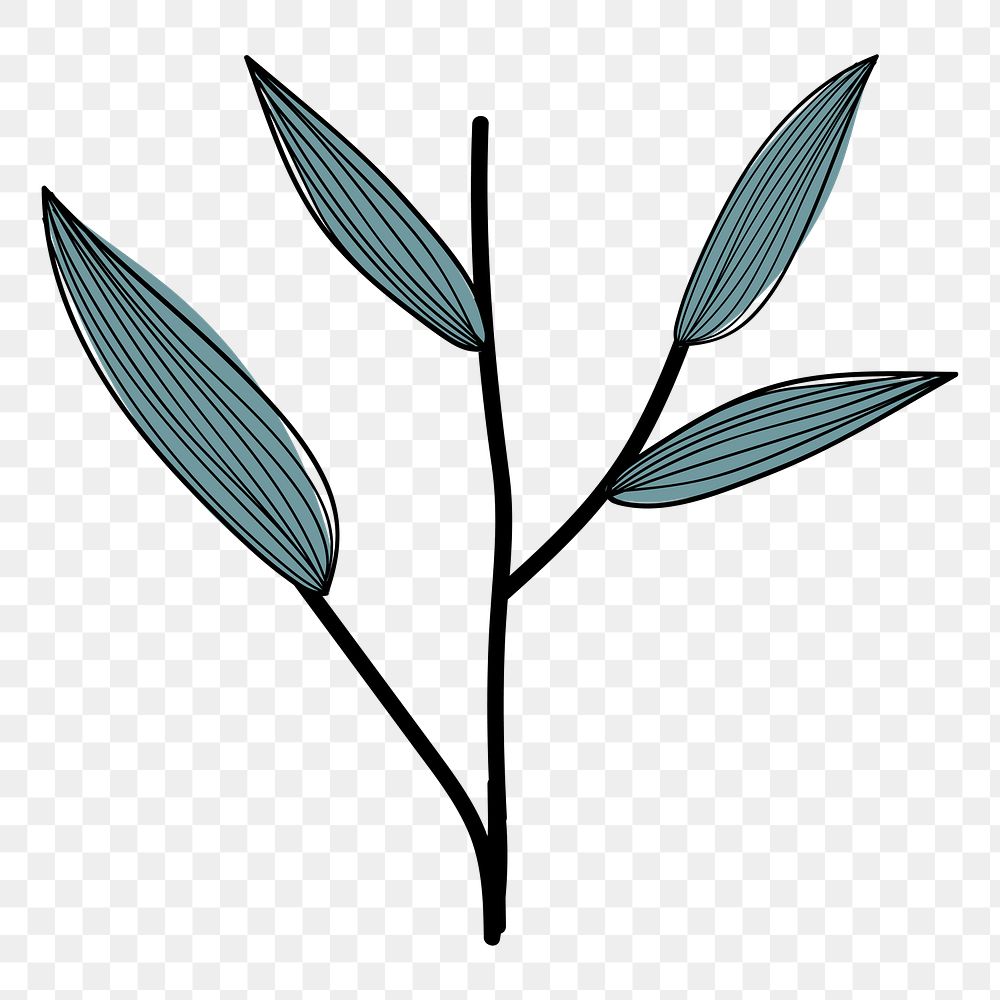 Leaf branch png sticker, aesthetic botanical doodle, transparent background