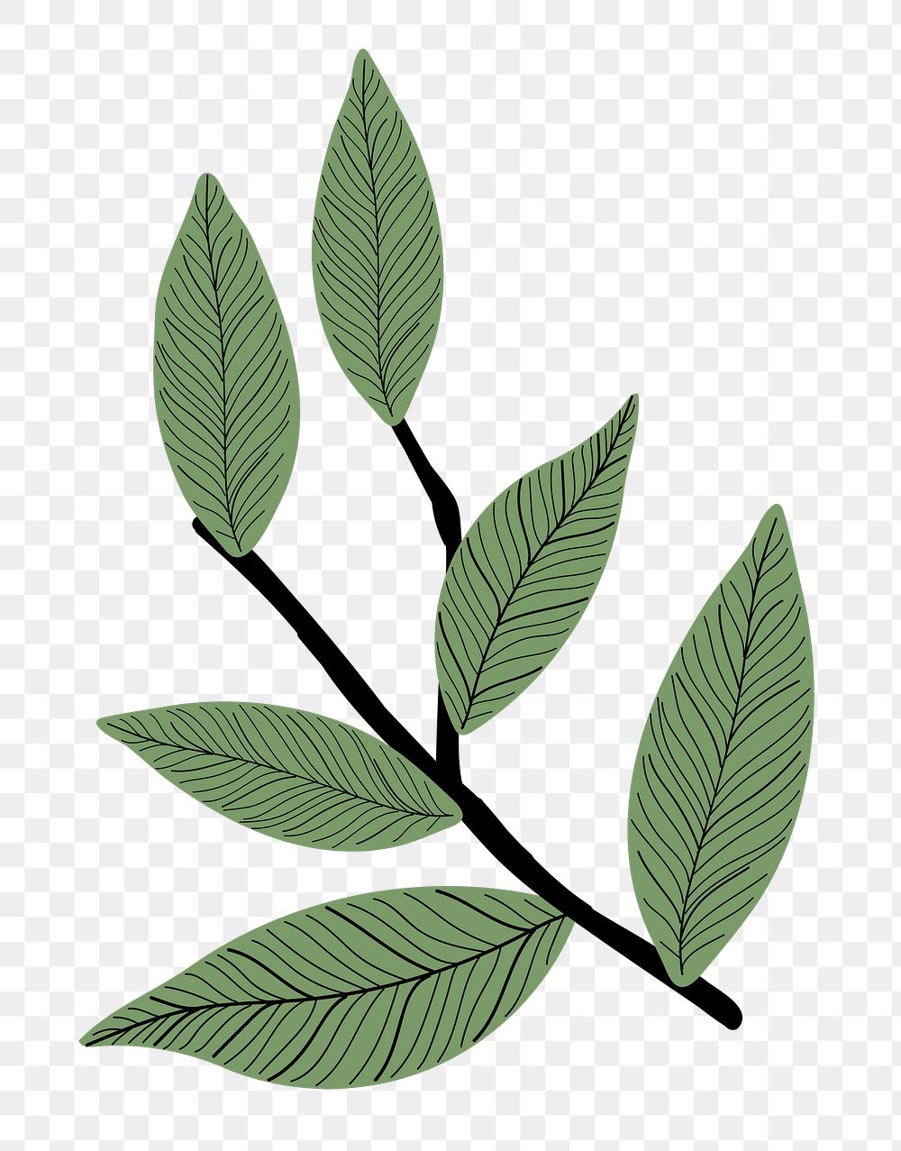 Leaf branch png sticker, aesthetic botanical doodle, transparent background