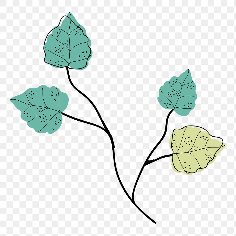 Leaf branch png sticker, aesthetic botanical doodle, transparent background