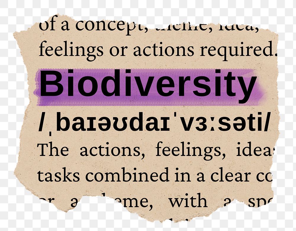 Biodiversity png word sticker, torn paper dictionary, transparent background