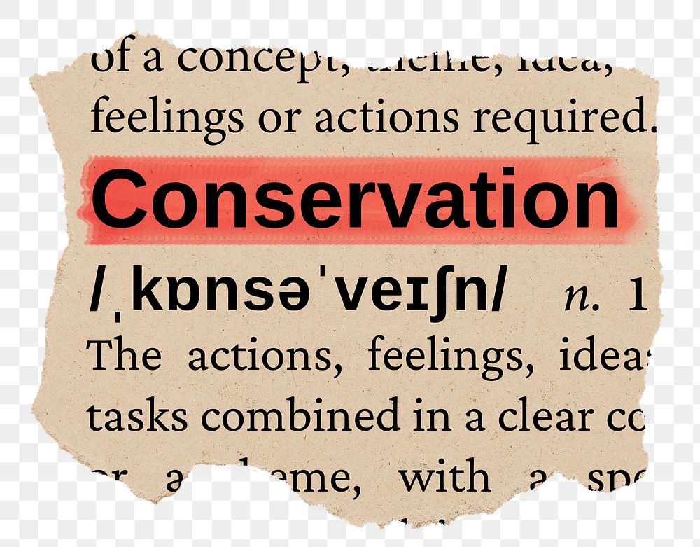 Conservation png word sticker, torn paper dictionary, transparent background