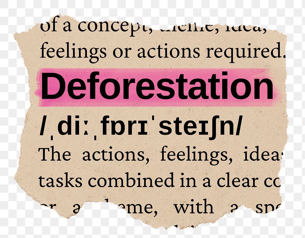 Deforestation png word sticker, torn paper dictionary, transparent background