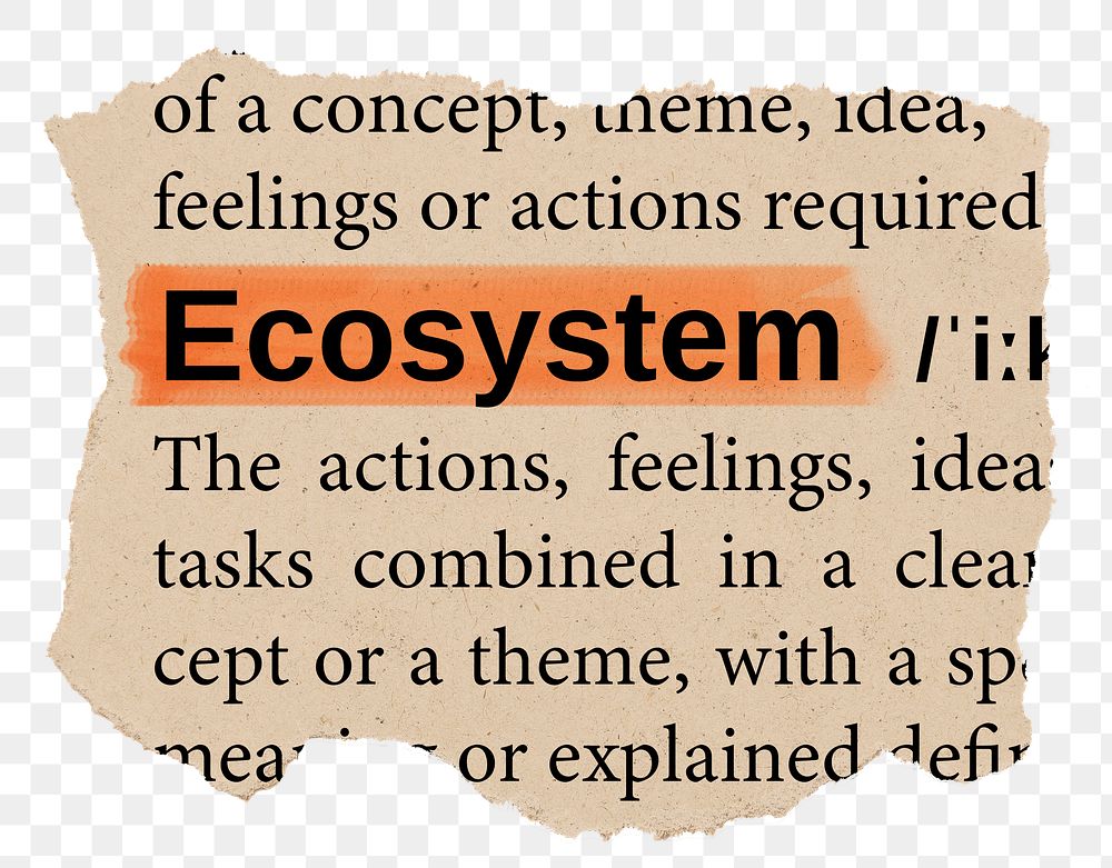 Ecosystem png word sticker, torn paper dictionary, transparent background