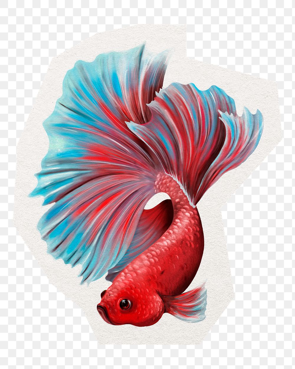 Colorful betta fish png sticker, cut out paper design, transparent background