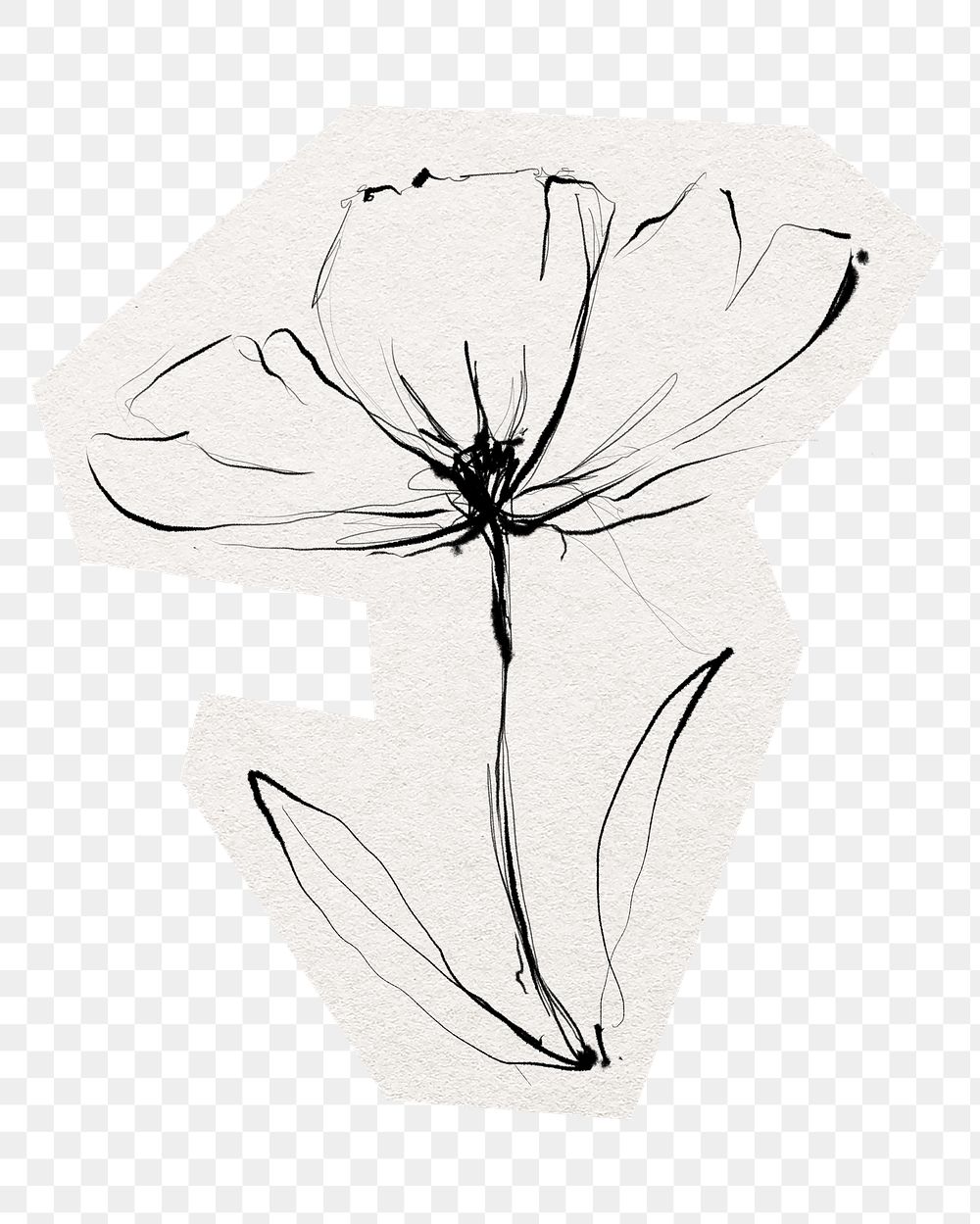Hand drawn flower png sticker, cut out paper design, transparent background