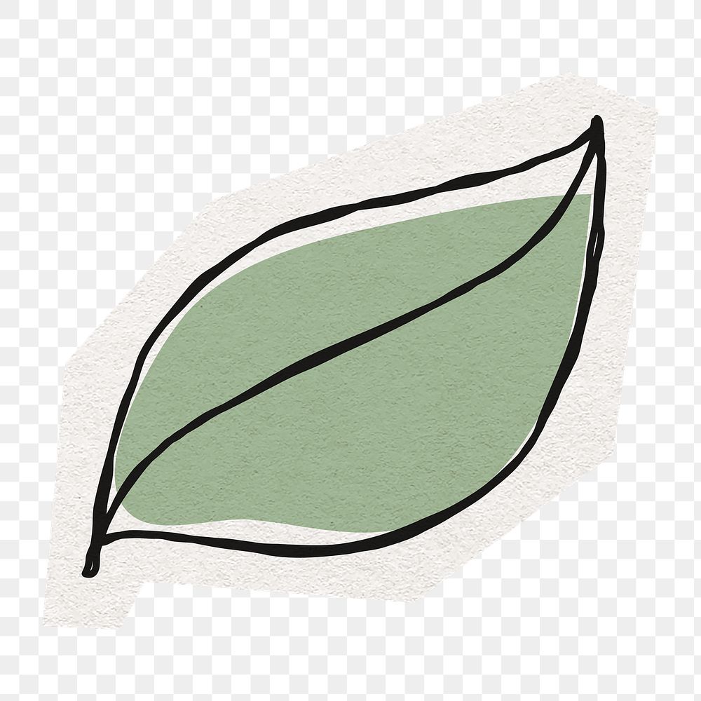 Hand drawn leaf png sticker, cut out paper design, transparent background