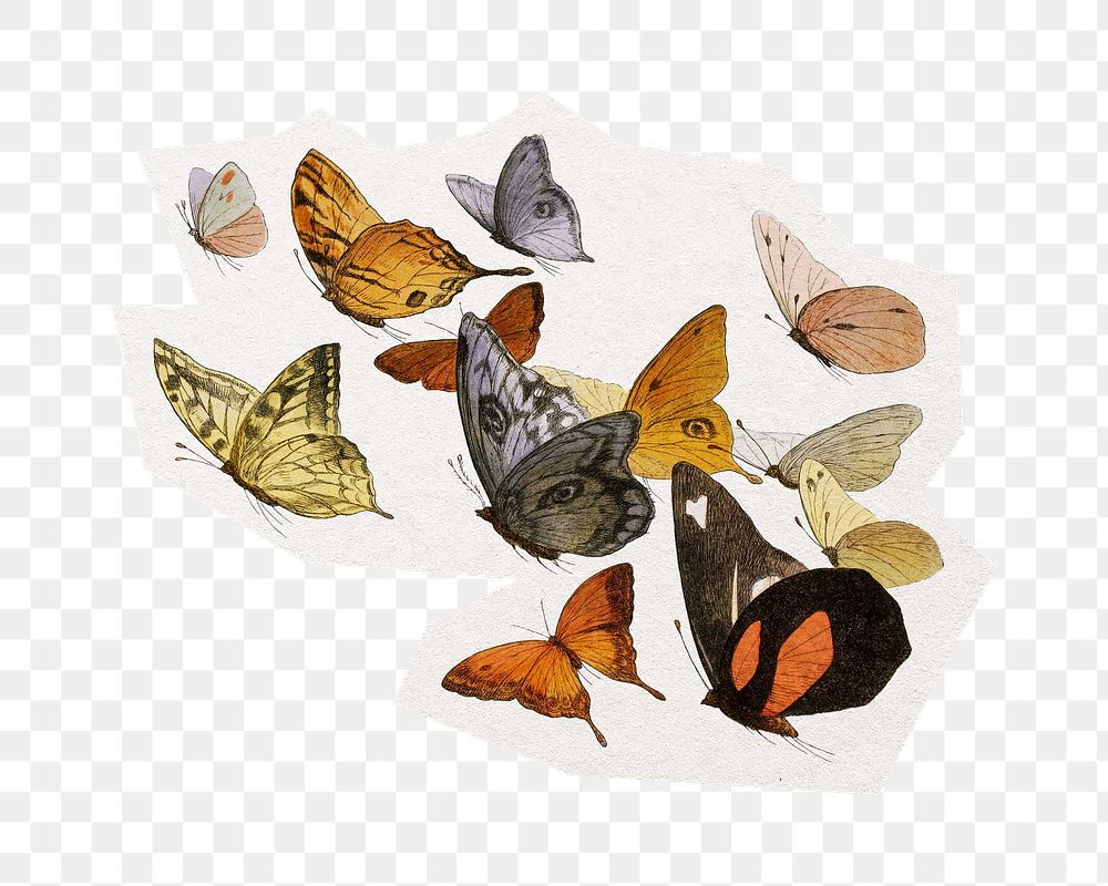 Vintage butterfly png sticker, cut out paper design, transparent background