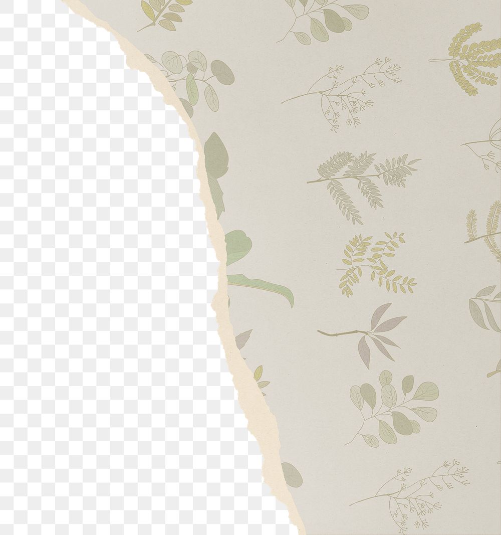 Aesthetic png border, torn paper design, transparent background