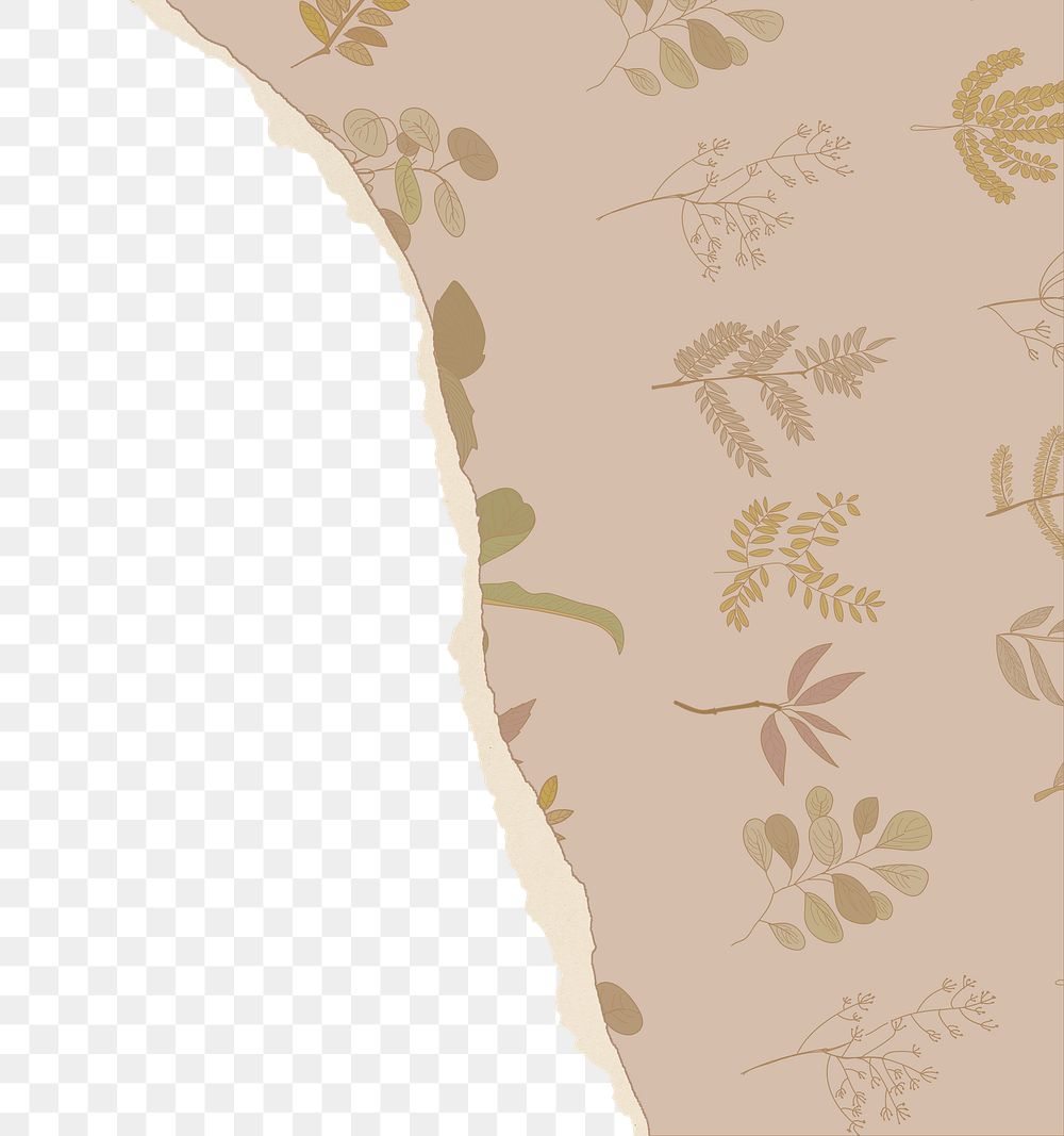 Brown botanical png border, torn paper design, transparent background