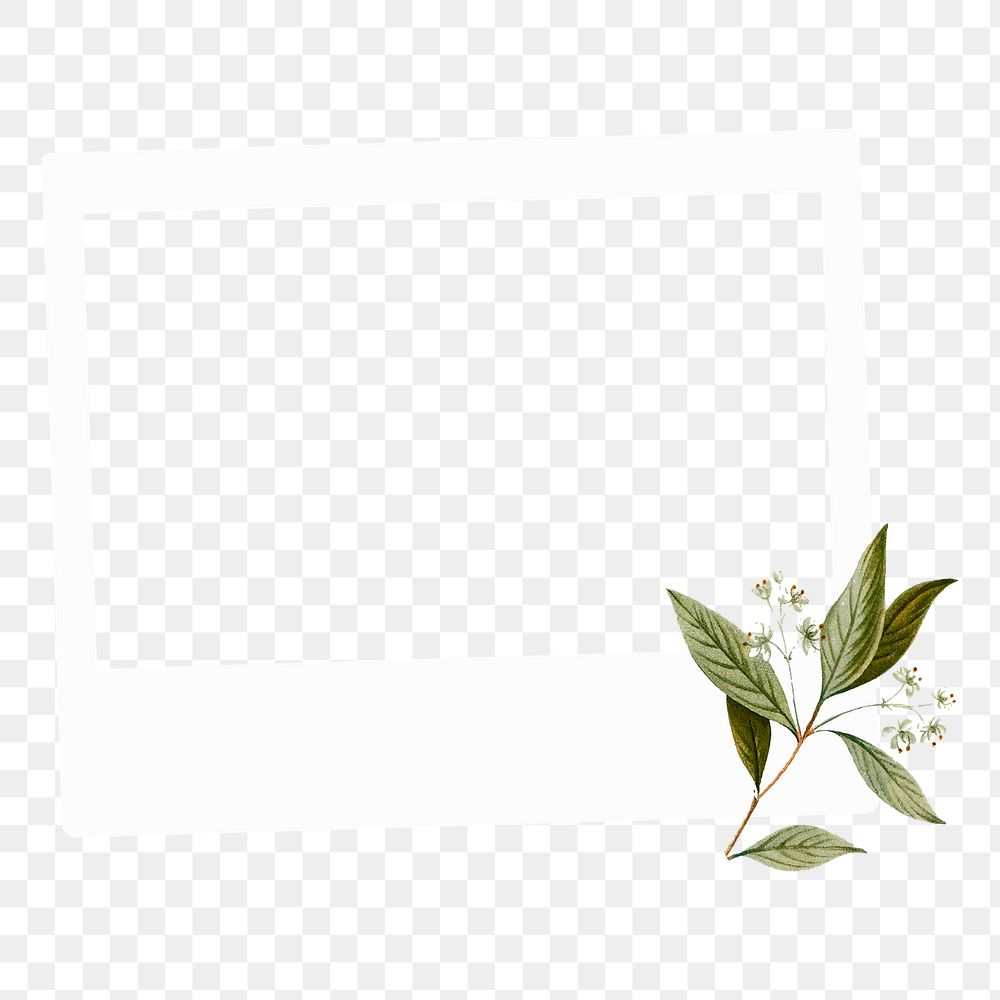 Instant photo png frame sticker, botanical design, transparent background