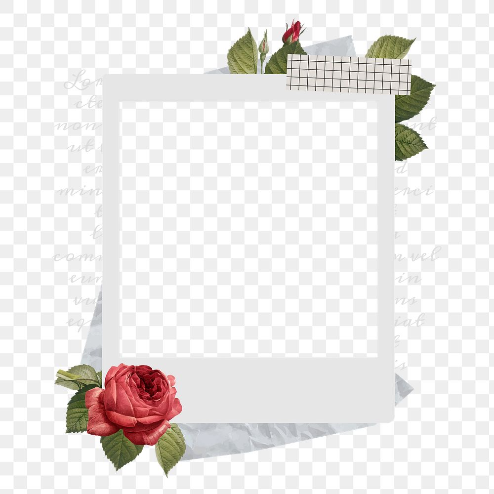 Instant photo png frame sticker, red rose design, transparent background