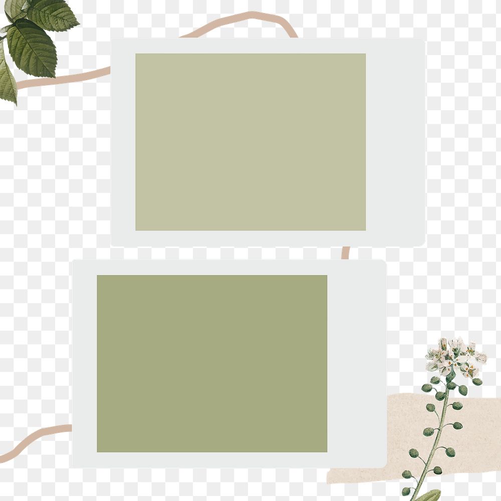 Instant photo png sticker, green botanical design, transparent background