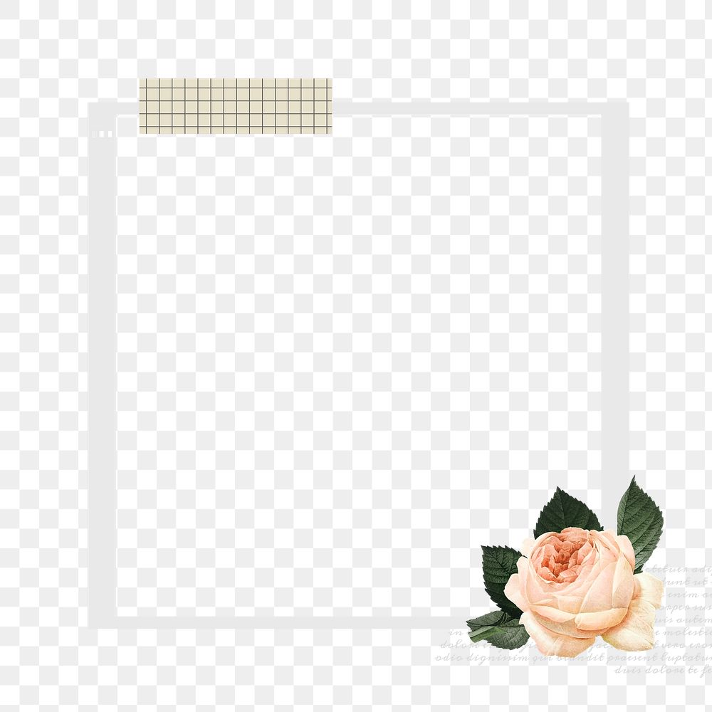 Instant photo png frame, aesthetic rose design, transparent background