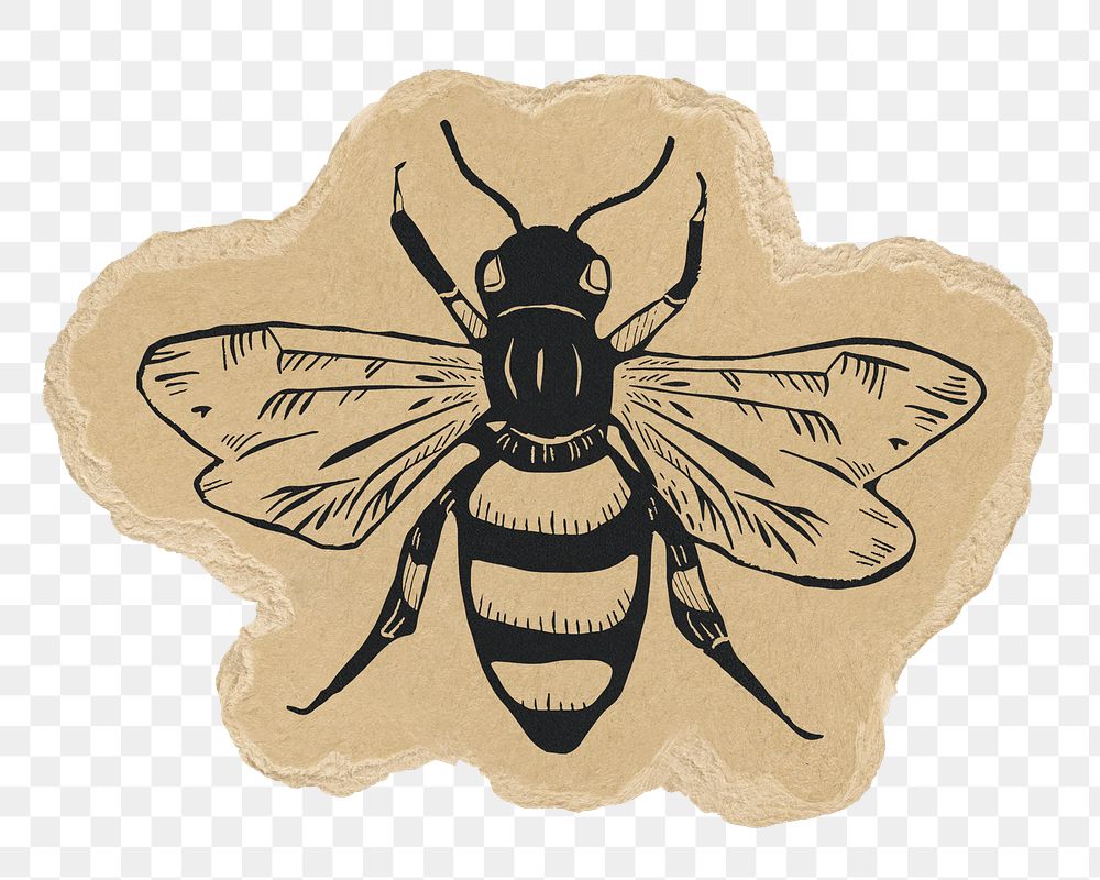 Bee doodle png sticker, torn paper transparent background