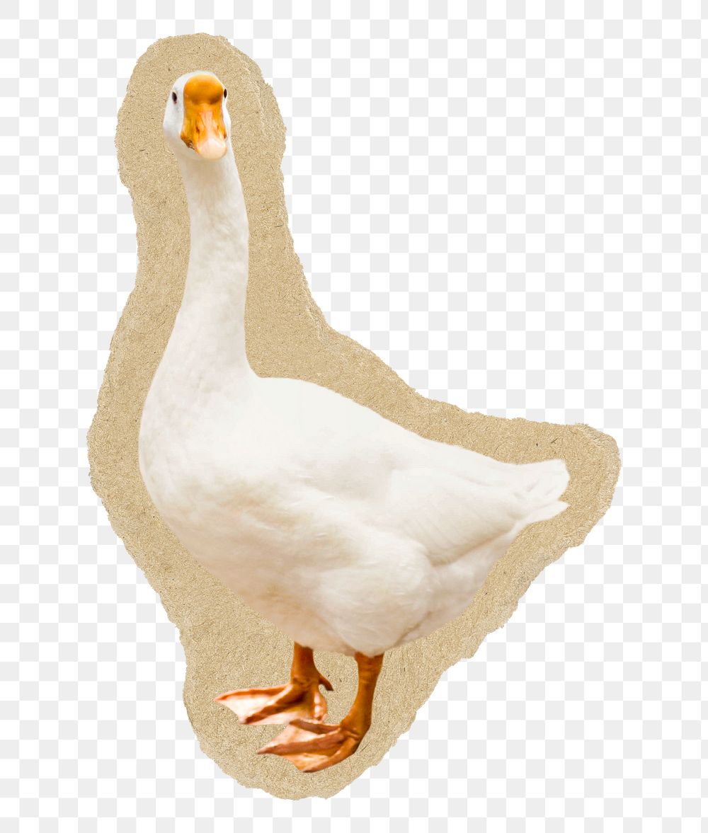 Goose png sticker, torn paper transparent background