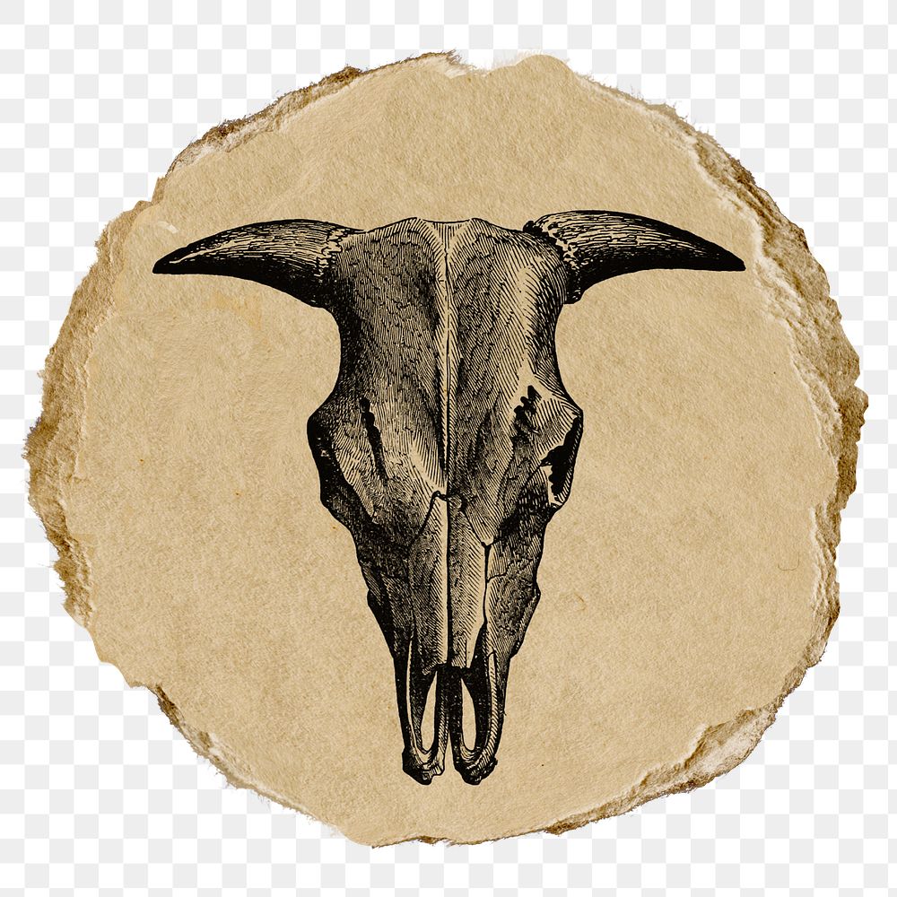 Sheep skull png sticker, ripped paper, transparent background