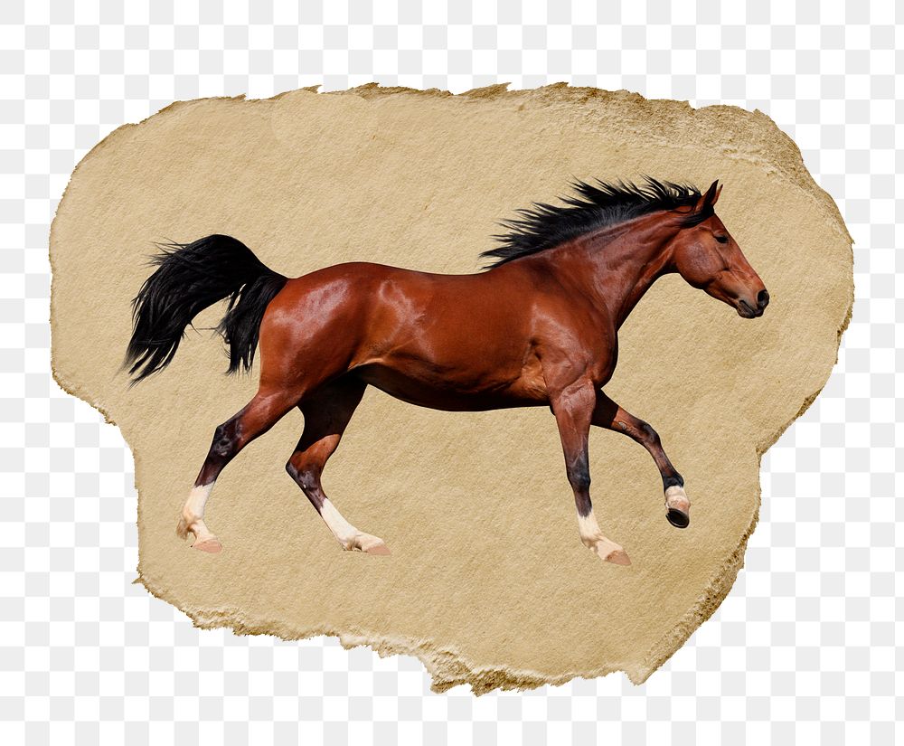 Running horse png animal sticker, ripped paper, transparent background