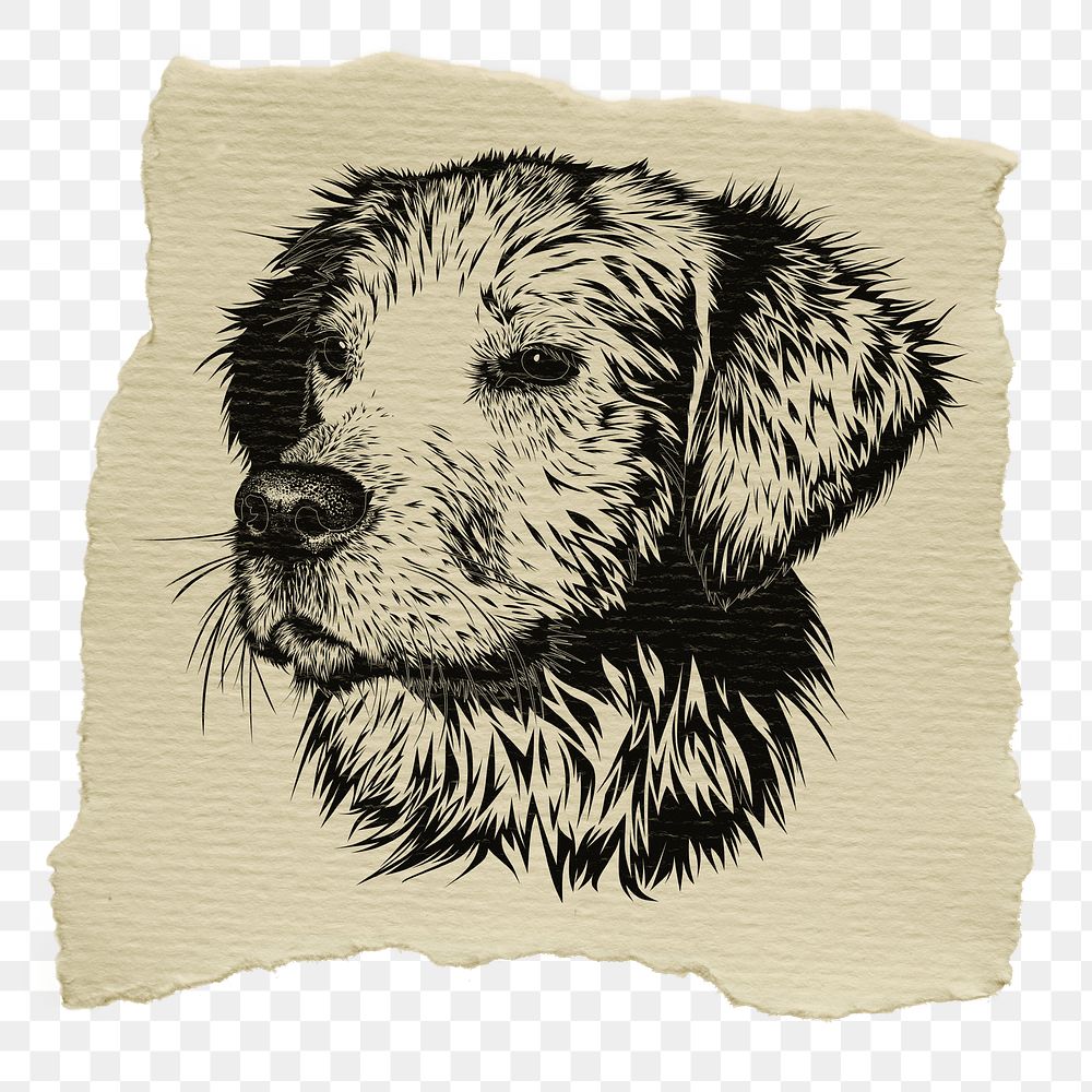 Golden Retriever dog png animal sticker, ripped paper, transparent background
