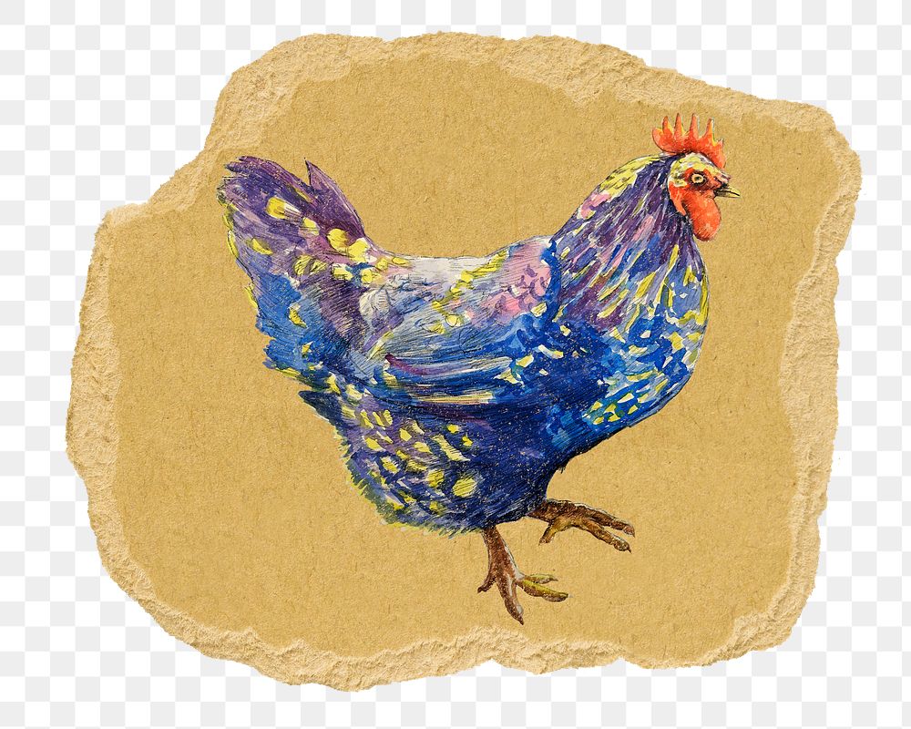 Chicken png animal sticker, ripped paper, transparent background