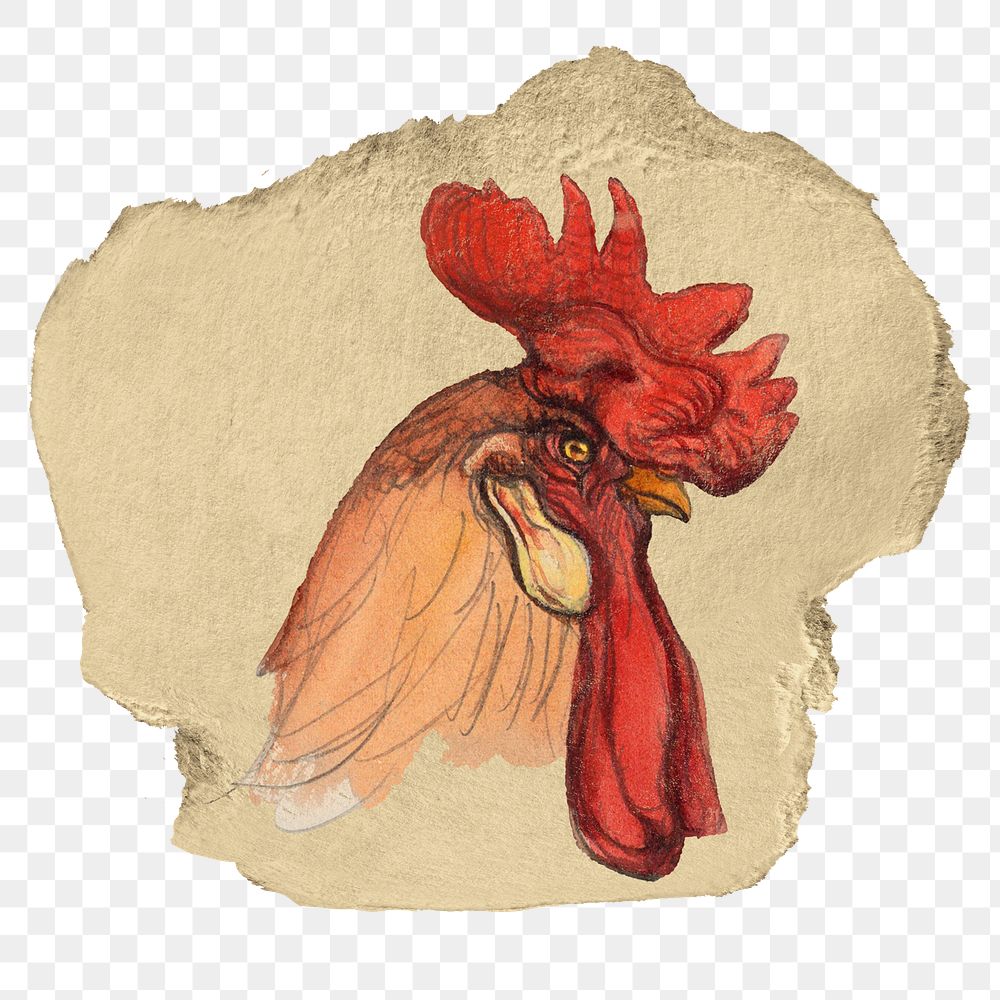 Chicken png animal sticker, ripped paper, transparent background
