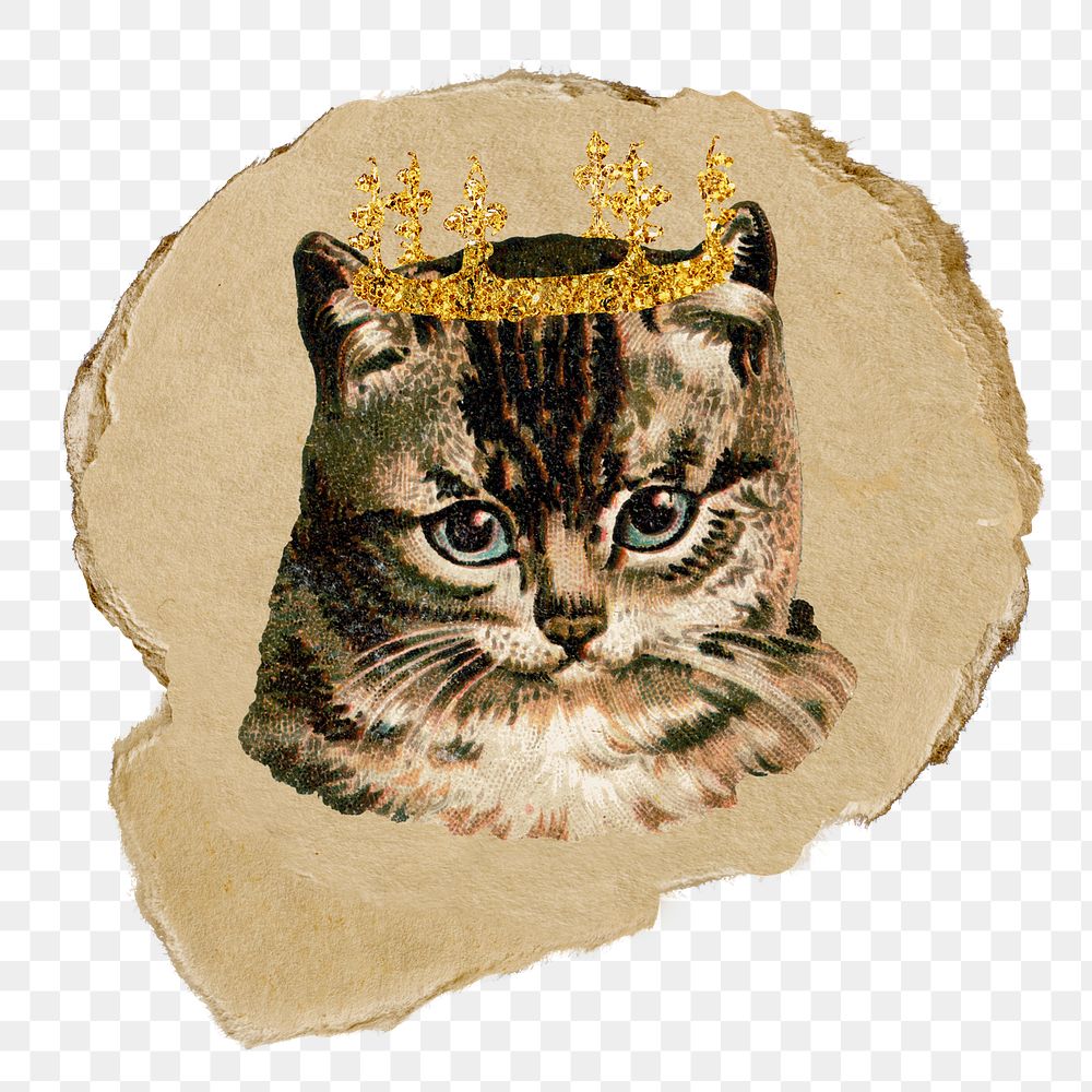 Kitten wearing png crown animal sticker, ripped paper, transparent background