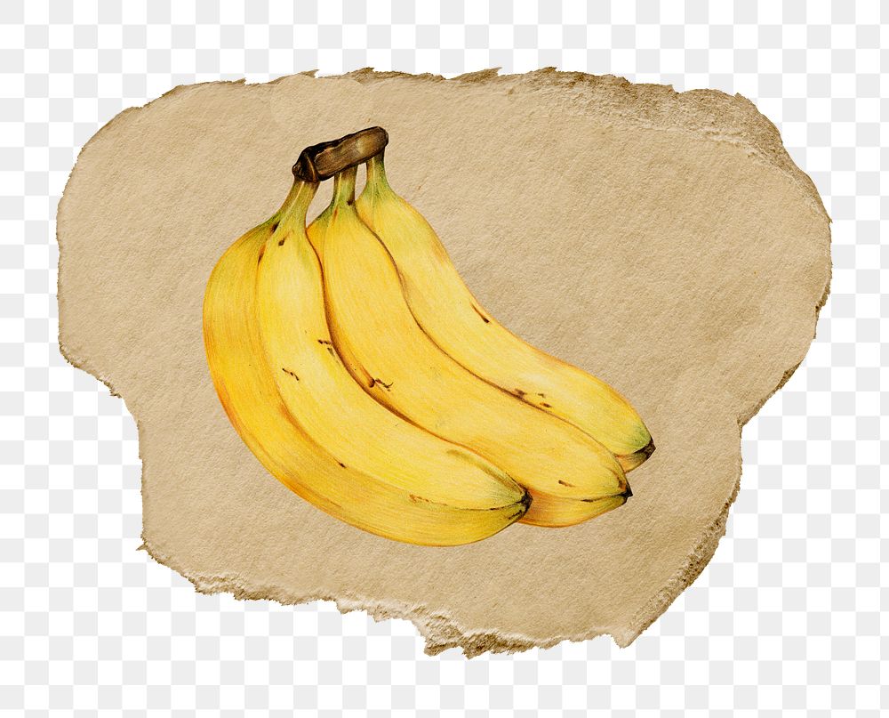 Banana, fruit png sticker, ripped paper, transparent background
