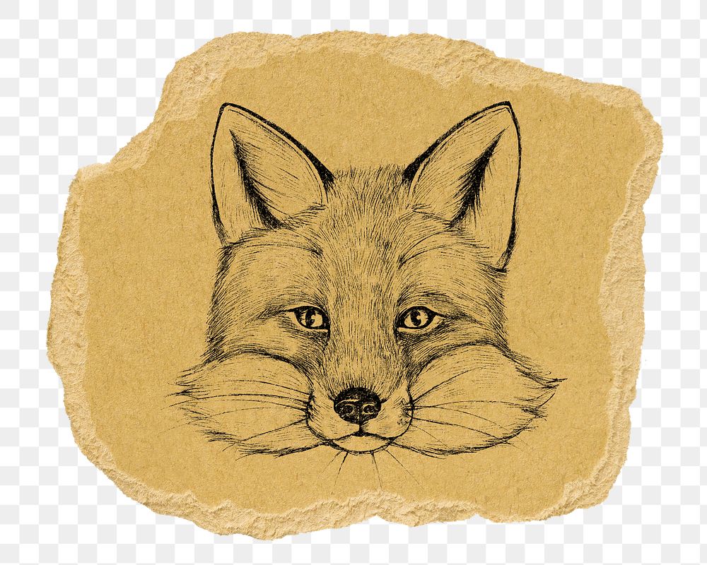 Vintage fox illustration png sticker, transparent background
