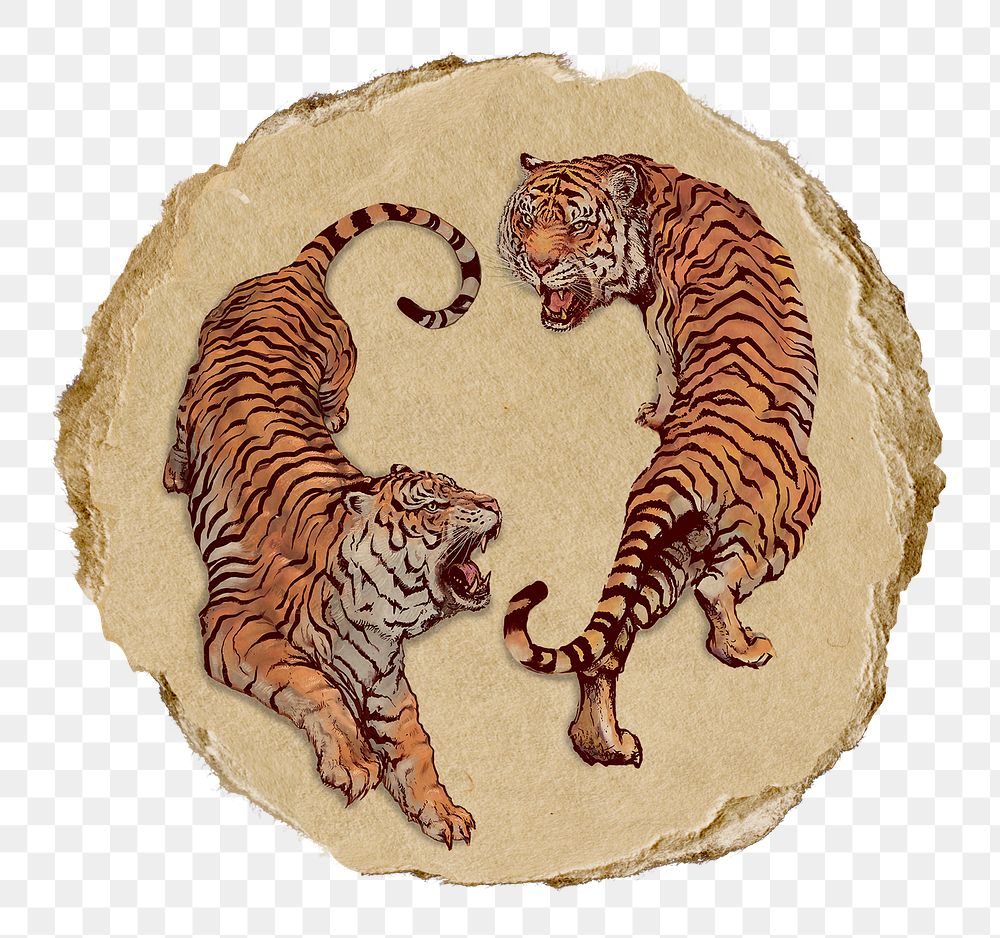 Roaring tigers png sticker, ripped paper, transparent background