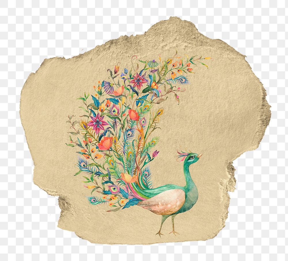 Beautiful peacock png sticker, ripped paper, transparent background